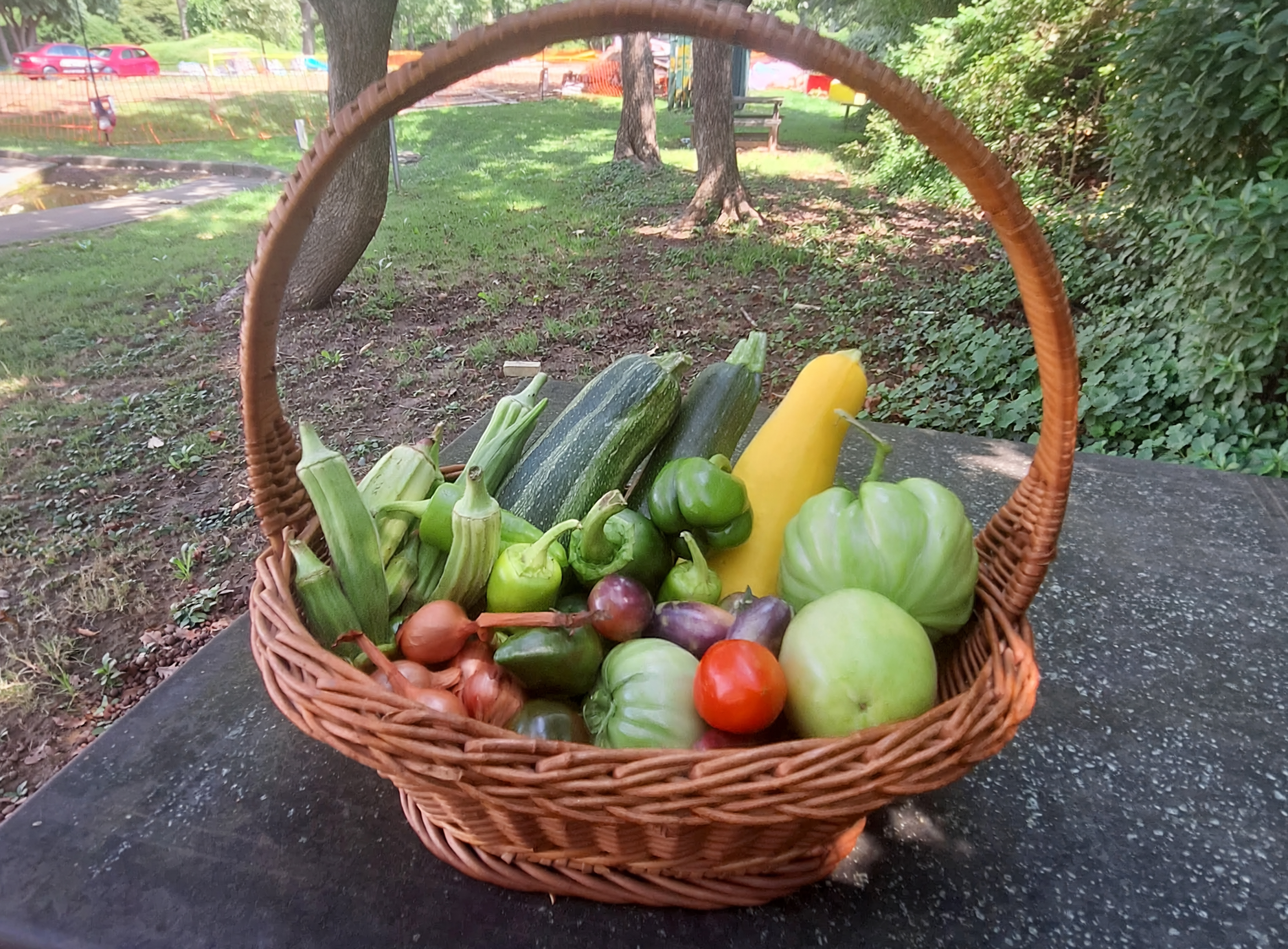 Organic Produce Bag